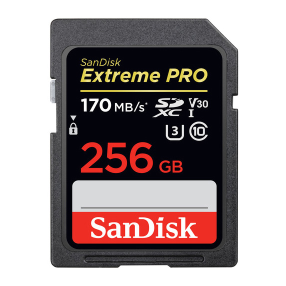 You may also be interested in the SanDisk SDSDXXG-032G-ANCIN Extreme Pro SDHC Mem....